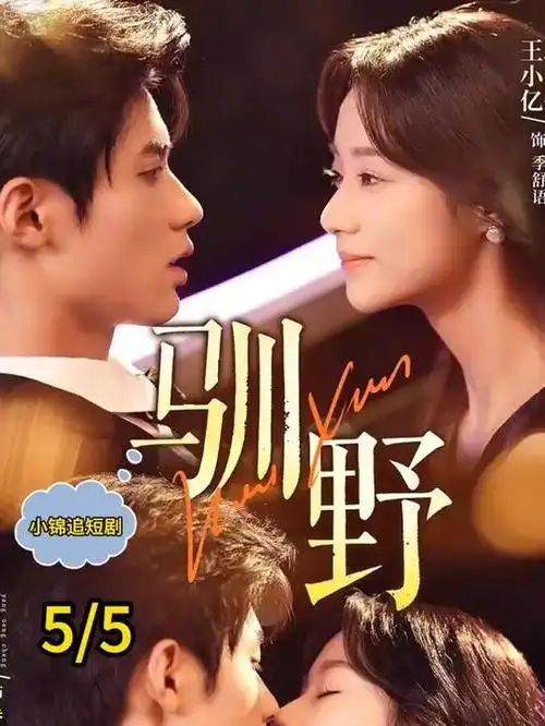少年白马行 在线观看
